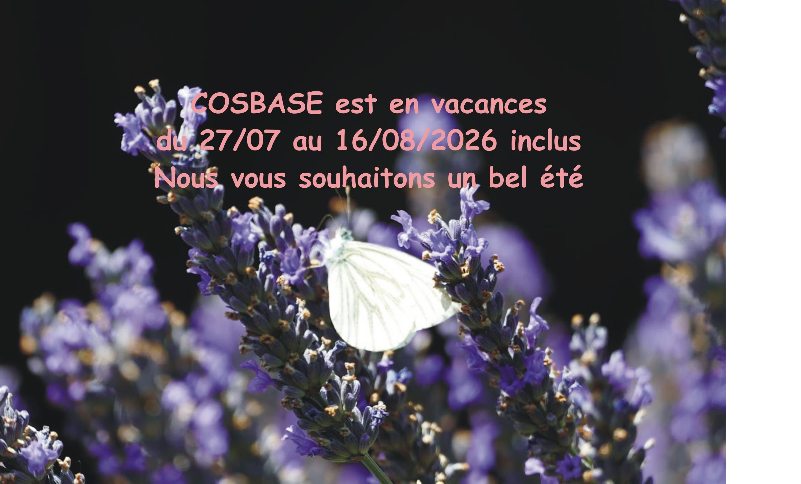 Slider home Cosbase